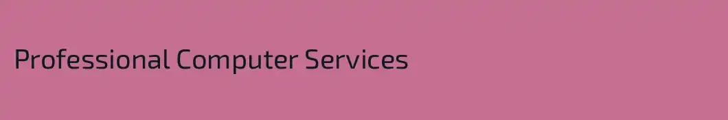 Professional Computer Services